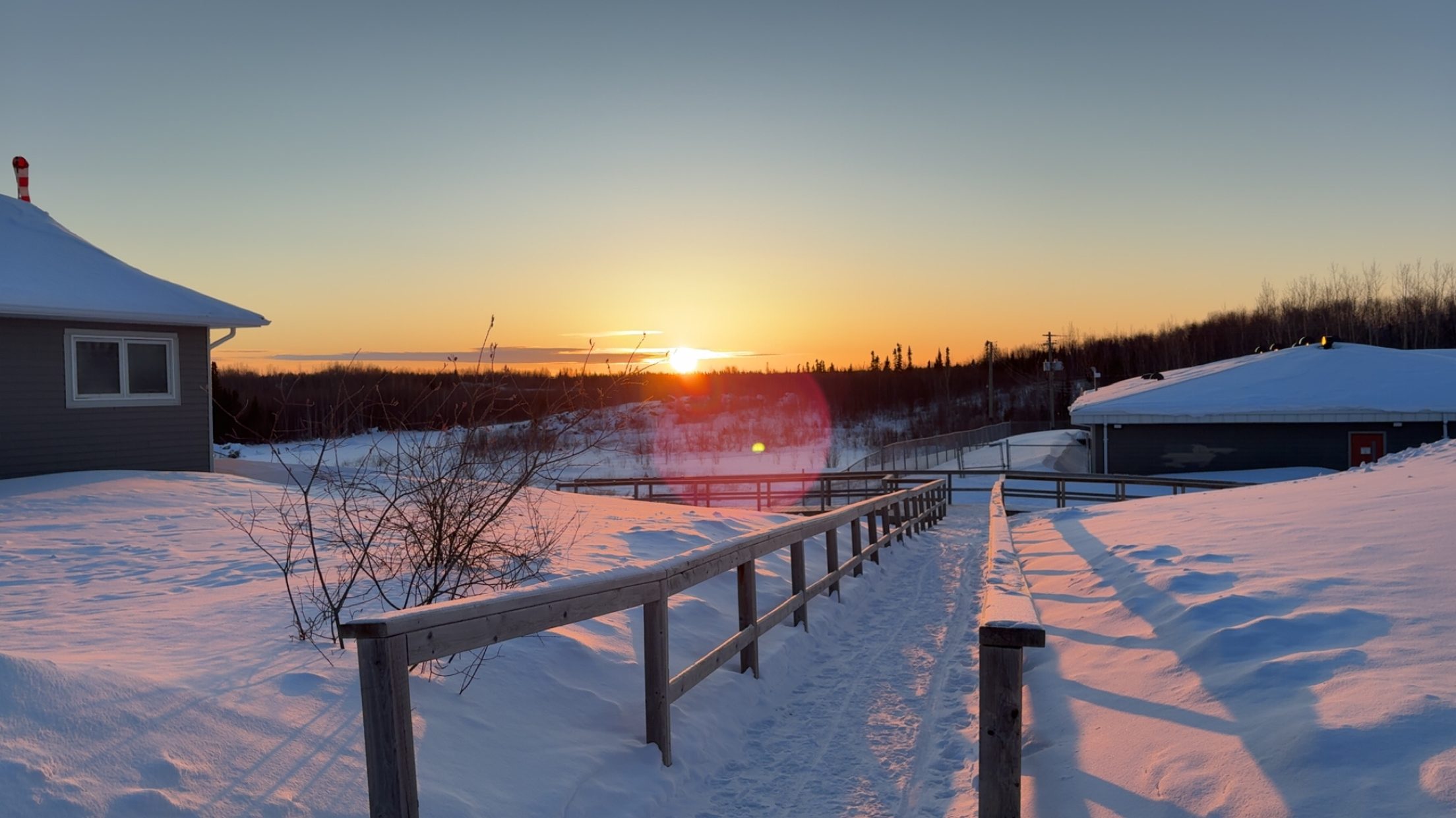 Featured image for “Check out the latest DREAM Newsletter!”
